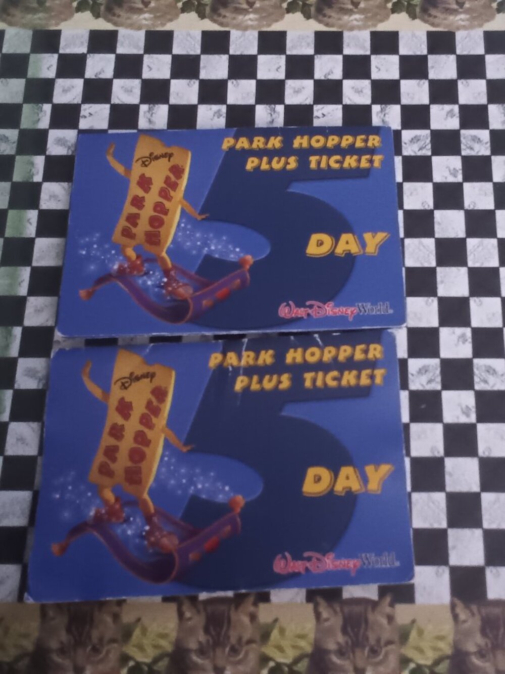 Disney Passes